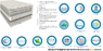 ➤ Матрац Sleep&Fly SF DAILY 2in1 / ДЕЙЛІ 2в1 《АКЦІЯ》 ☑️ Знижки — 15% від ™ ЕММ